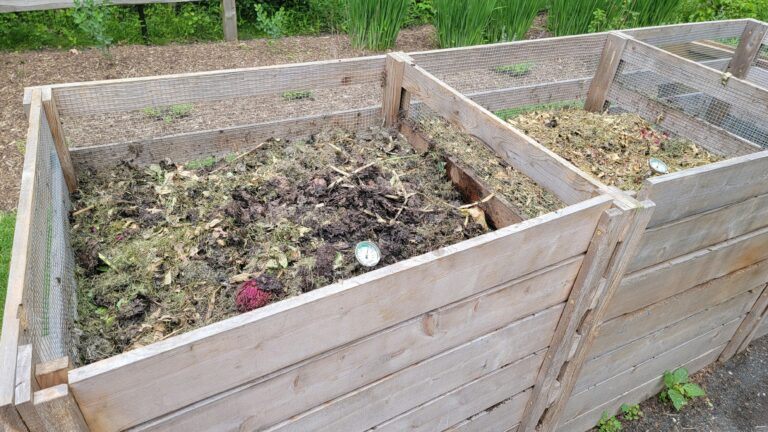 Déchets verts compost