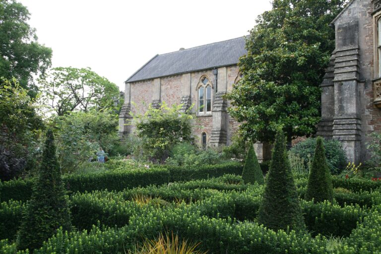 Jardin avec taille architecturée